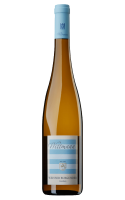 Wittmann Weisser Burgunder 2024